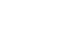 Danse au Pluriel